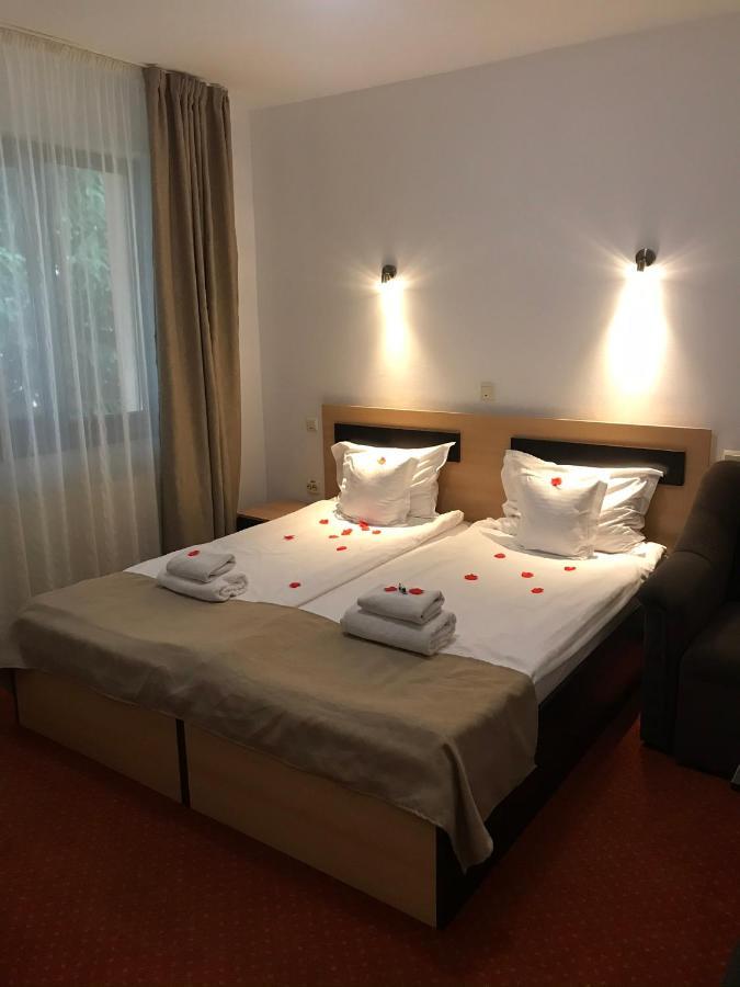 Flora Alpina Hotel Azuga Eksteriør billede